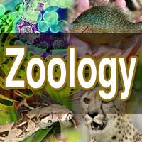 Animal & Acqua Life Zoology Science Fair Projects
