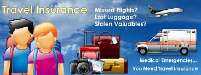 How To Keep Your Travel Insurance Documents Organized On The Road