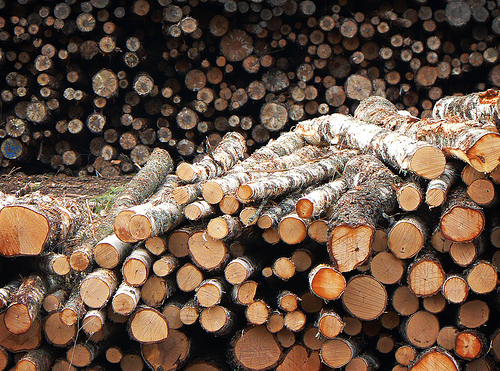Modern Logging Equipment To Create Quality Hardwood Timber Products