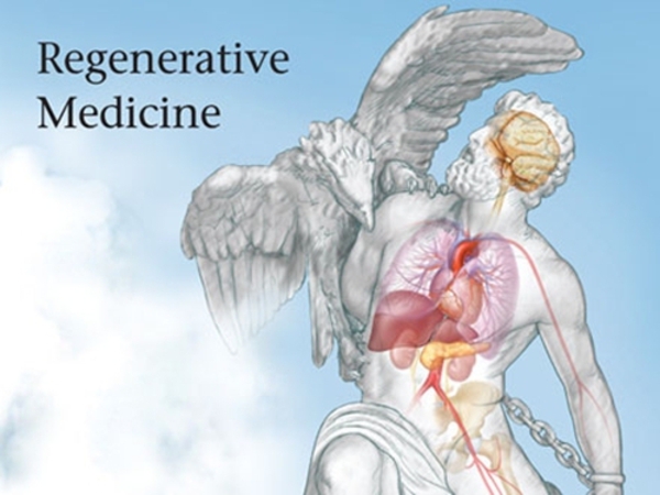Regenerative Medicine: The Medicine Of The Future