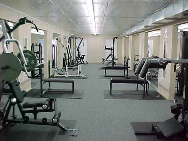 The Growing Popularity Of The Gym