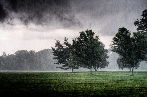 Keeping Your Appliances Safe During A Storm