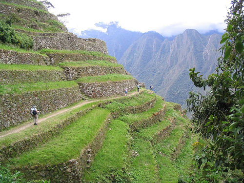 6 Essential Tips From A Layman In Surviving The Inca Trail