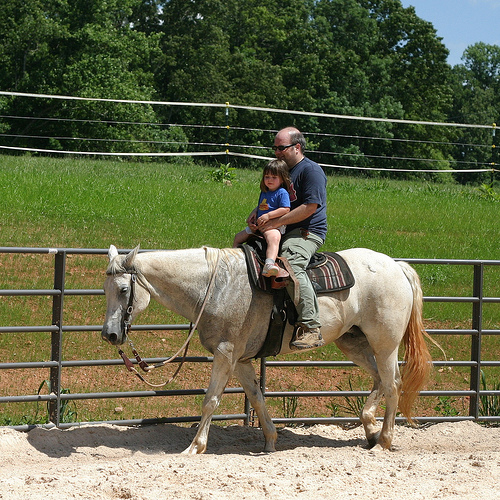 Benefits Of Horse Riding For Children