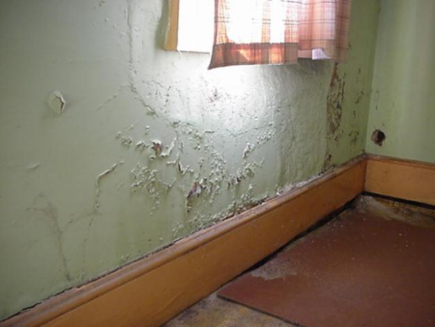 Top Ways To Keep Damp And Mould Out Of Your Business