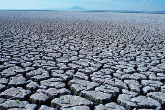 3 Common Questions About Drought Answered