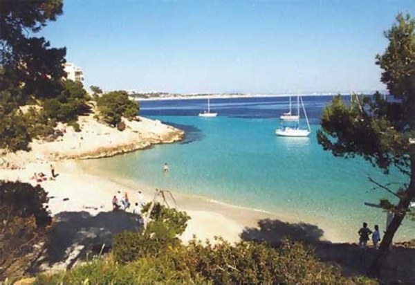 Spending Holidays On Majorca