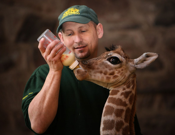 What It’s Like To Be A Zookeeper