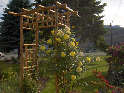 Why You Should Consider Building A Garden Structure