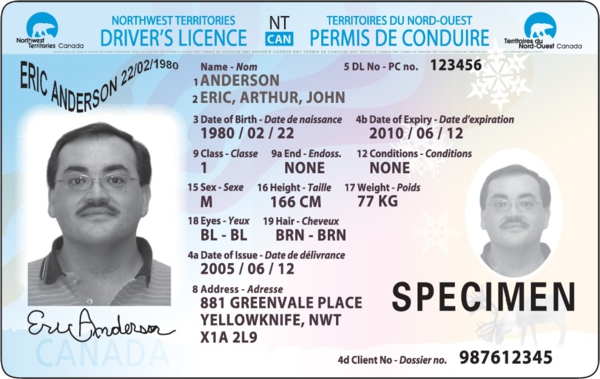 I Lost My Driver’s License. Now What?