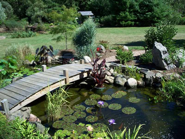 Plan Ahead To Build Your Perfect Pond