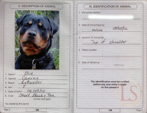 All You Need To Know About The UK Pet Passport