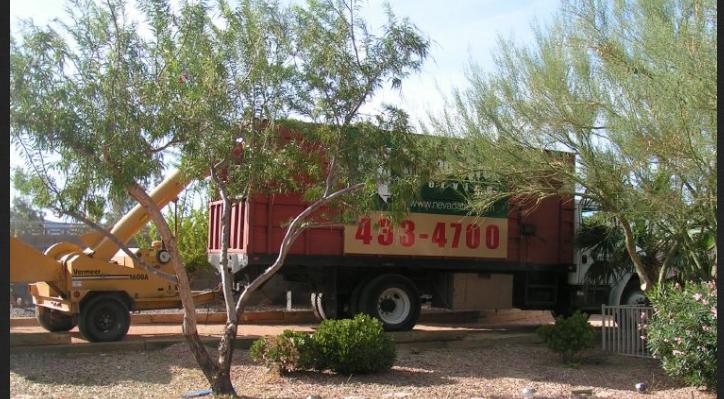 Tree service Las Vegas