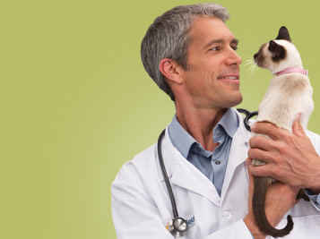 pet's health check up