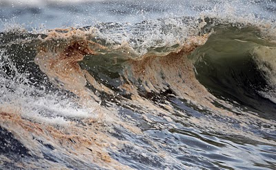 Gulf of Mexico Oil Spill, How is BP Making it Better?