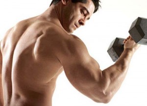 Benefits Of Protein Supplement For Muscle Growth