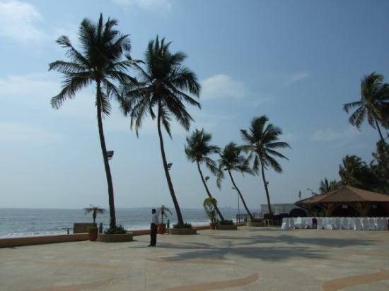 Choosing A Summer Beach Holiday Destination In India
