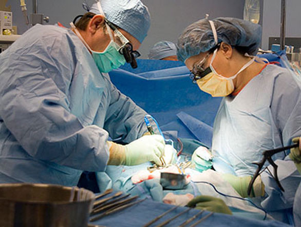 Brain Surgeon Salary and Career Outlook 2014