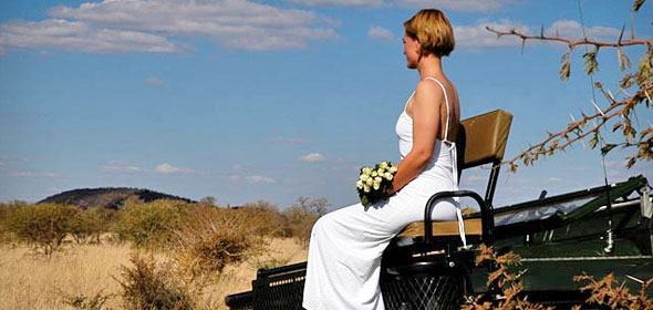 Why You Should Choose Safari-Style Wedding And Honeymoon?