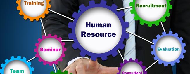Human Resources Strategies Assist Executives In Their Careers