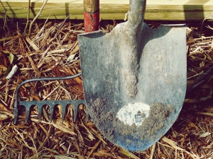 3 Necessary Pieces Of Equipment For Your Landscaping Project