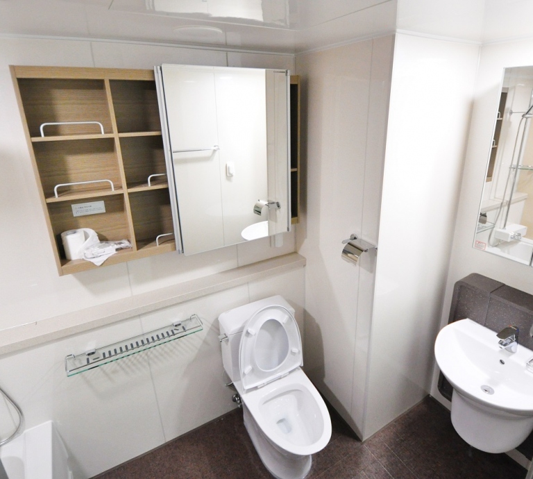 Lavatory Problems? How To Keep Your Toilet From Constantly Clogging