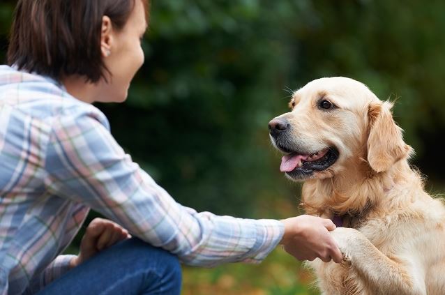 Home Pet Care: How To Keep Your Furry Friends Happy and Healthy