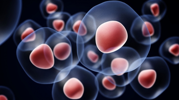 Why Stem Cell Therapy Is Beneficial
