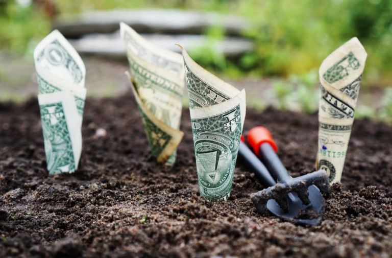 Save Green by Going Green: 4 Financial Reasons to Make Your Business Ecofriendly