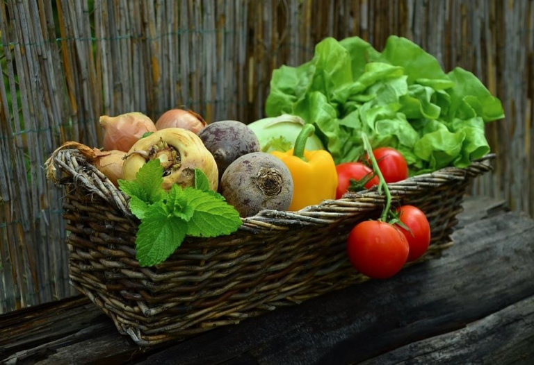 Thinking of Growing a Garden? 4 Benefits of Opting for Organic