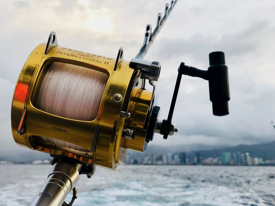 Fishing Vacation: How to Harvest the High Seas and Have Fun