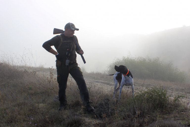 4 Ways to Prepare for Deer Hunting during the Off-Season