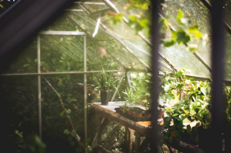 Greenhouse Construction: How To Prep For Spring Planting