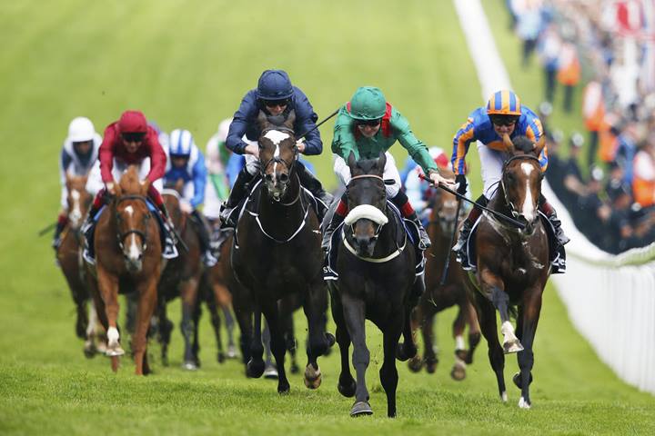 5 Amazing Facts About Horse Racing You May Have Never Known